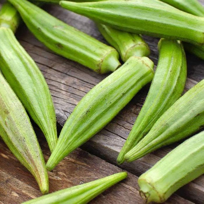 Abelmoschus garden seeds with high germination