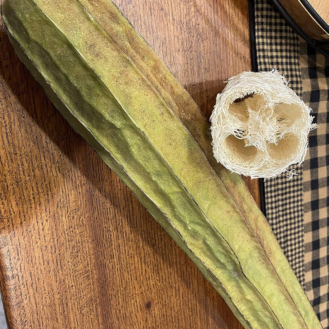 Acutangula seeds climbing plant variety for outdoor planting