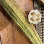 Acutangula seeds climbing plant variety for outdoor planting