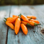 High germination Aji Amarillo pepper seeds