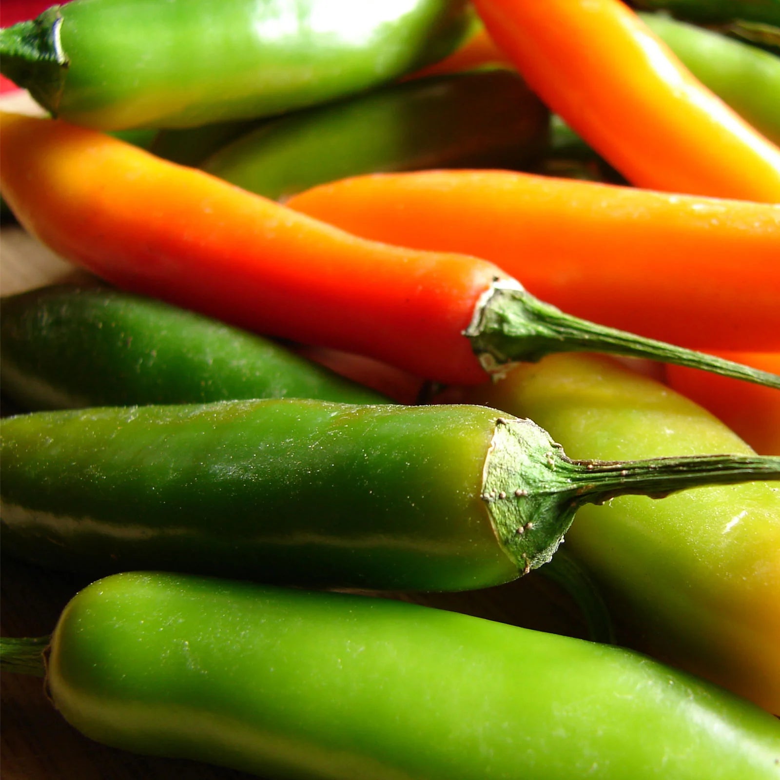 Aji Brazilian pepper seeds high germination for home gardeners