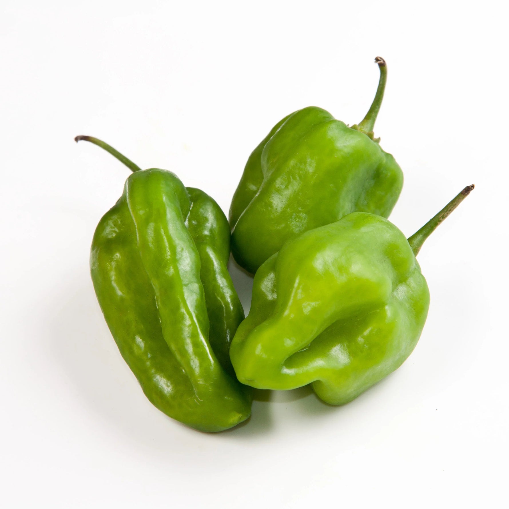 Aji Dulce pepper seeds with high germination rate