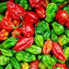 Aji Dulce seeds for planting sweet mild pepper seeds high germination