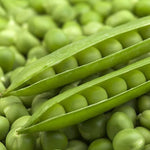 Alaska pea seeds for home gardening and kitchen garden cultivation