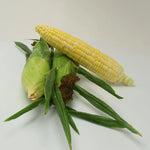 Heirloom sweet corn seeds high germination for home garden