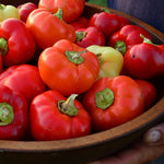 Alma Paprika seeds for planting in kitchen garden