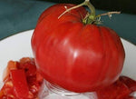 Altdeutsche tomato seeds heirloom high yield for gardening