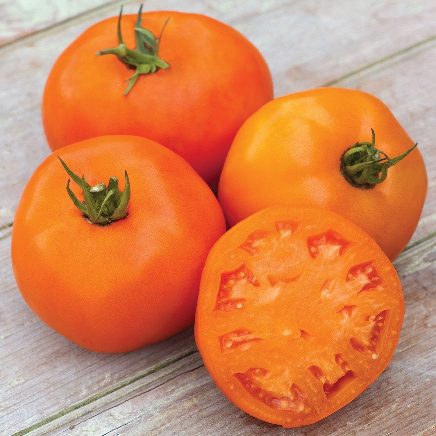 Amanas Orange Tomato Seeds for planting in home garden