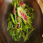 Amaranth seeds large leaf variety for kitchen garden