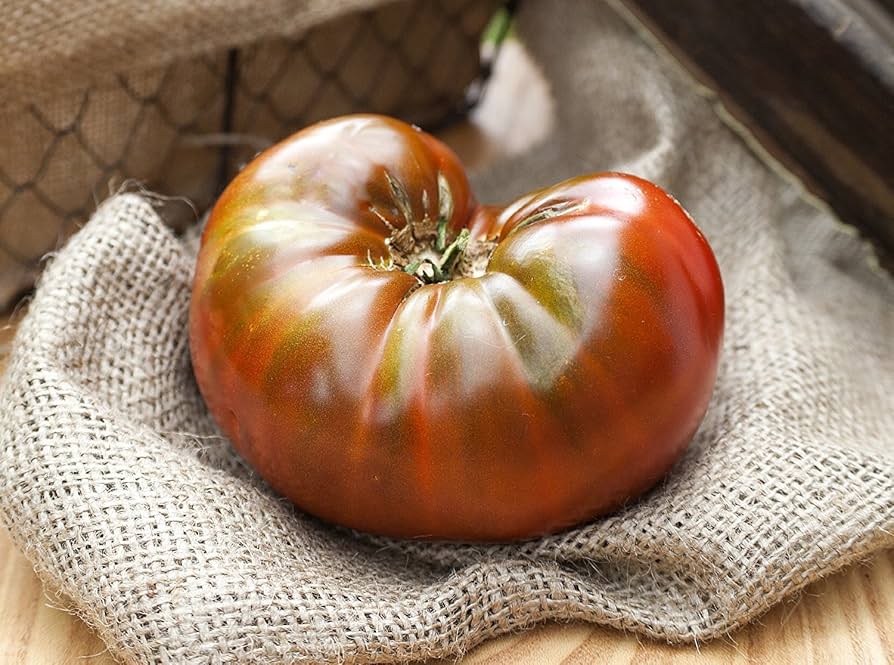 Amazon Chocolate Tomato Seeds indeterminate tomato variety