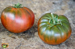 Non GMO Amazon Chocolate Tomato Seeds warm season planting