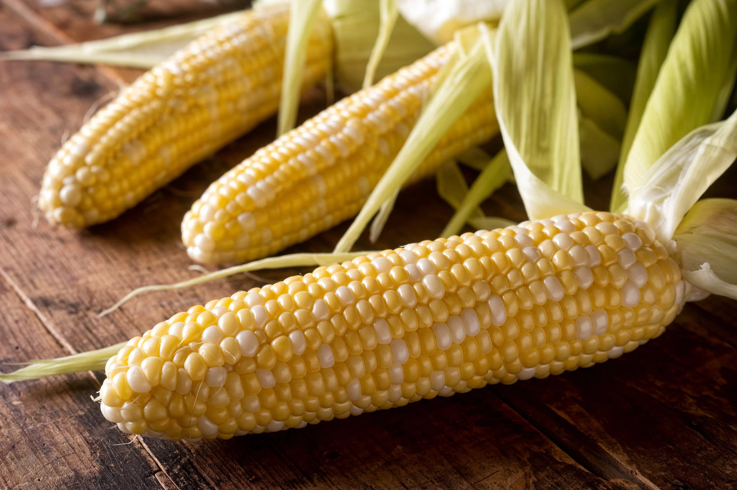 Ambrosia hybrid corn seeds bicolor extra sweet high germination