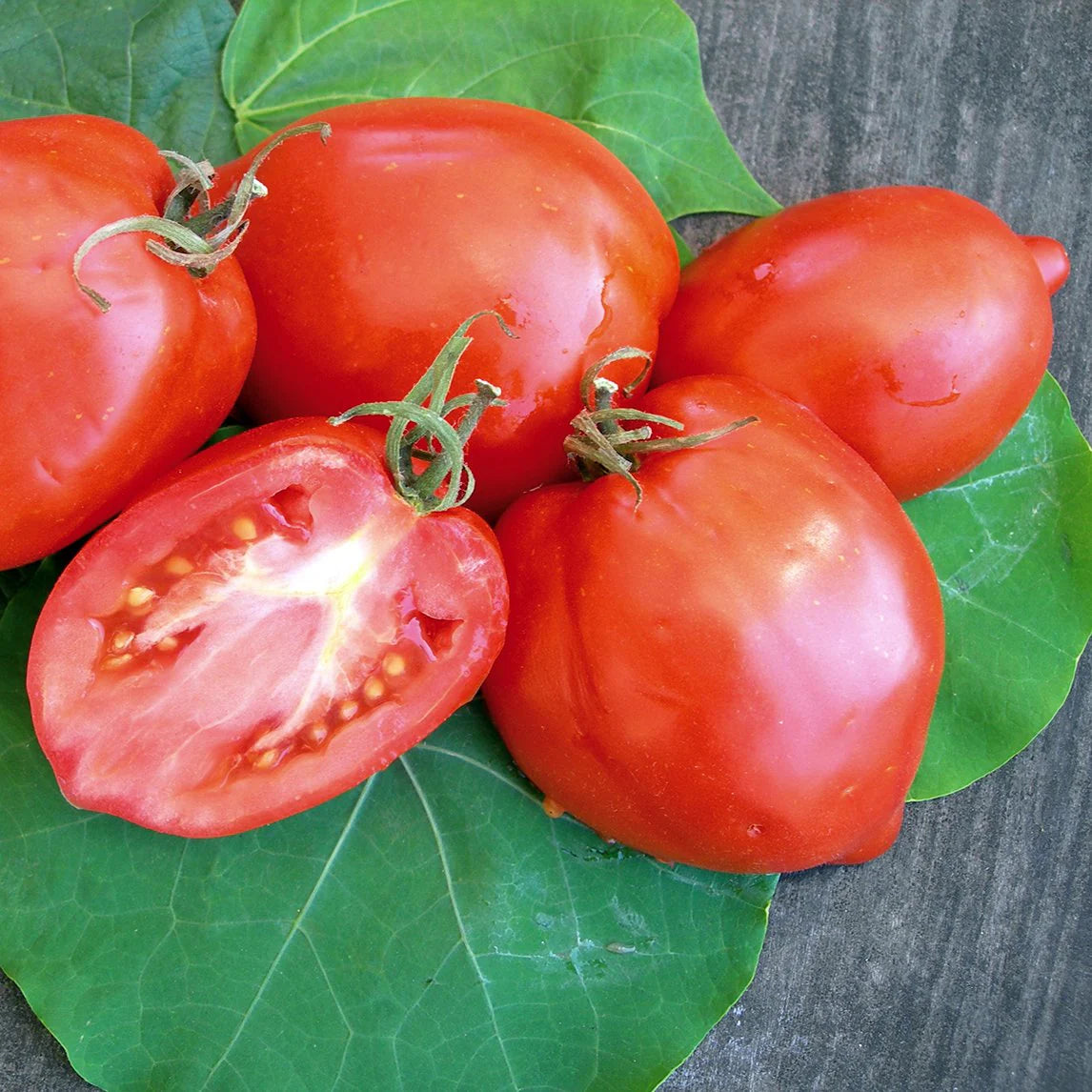 Amish Paste heirloom tomato seeds for planting high yield tomatoes