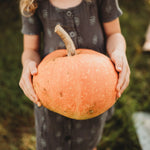 Amish Pie Squash seeds plant growth in home garden