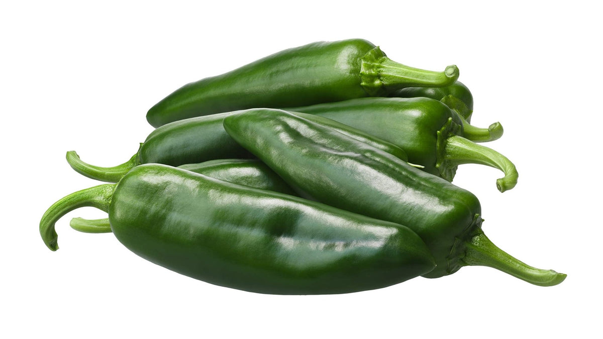 Anaheim chili pepper plant grown from seeds
