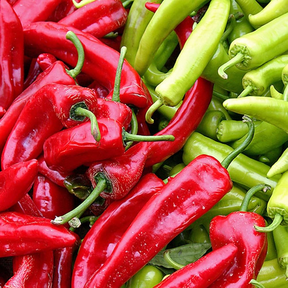 Anaheim chili peppers for roasting grown from seeds