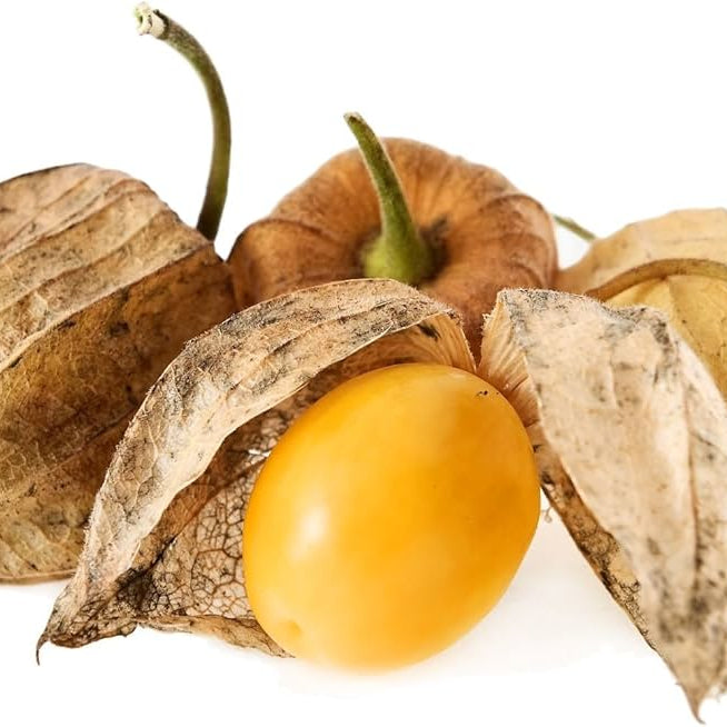 Ananas Tomatillo Physalis philadelphica vegetable seeds for planting in kitchen gardens - Dharaseeds