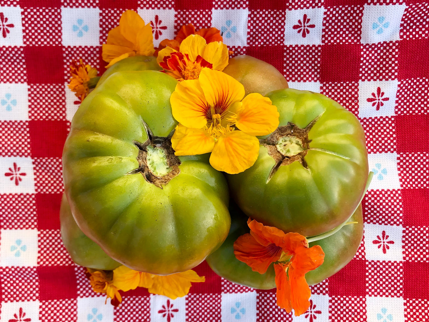 Ananas Noir Bi-Color Tomato Seeds – Unique Sweet-Smoky Flavor Heirloom