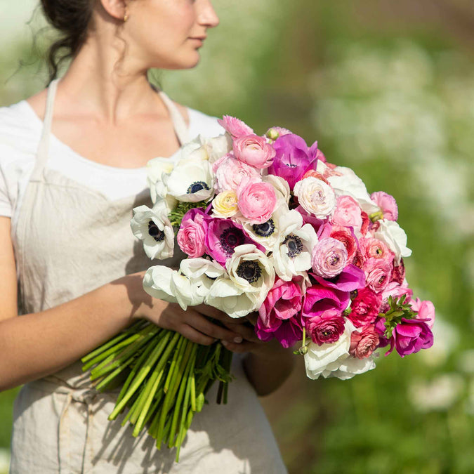 Anemone & Ranunculus Seeds - Moment in Time Mix