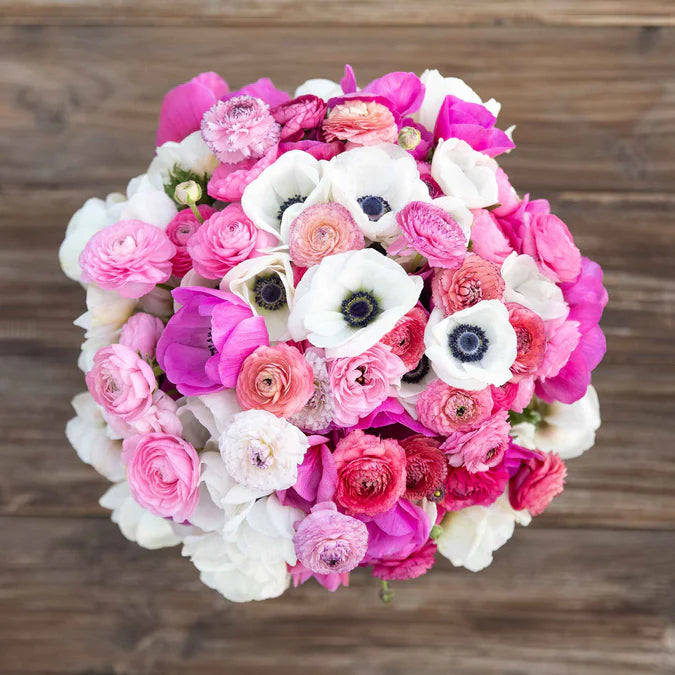 Anemone & Ranunculus Seeds - Moment in Time Mix