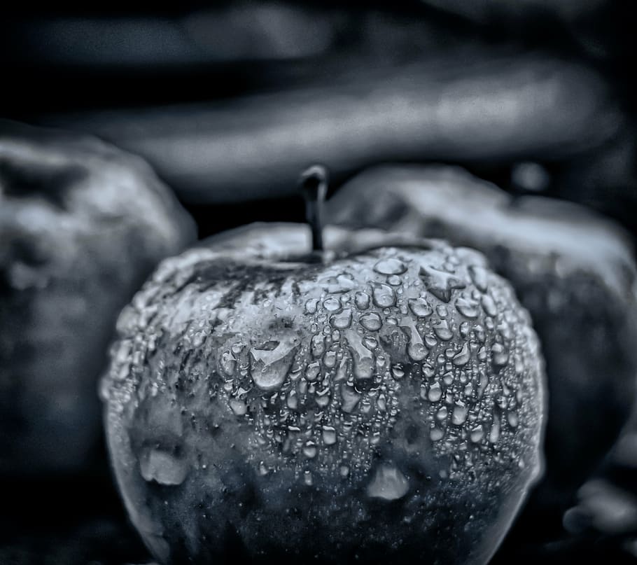 Black Apple Seeds (Diospyros texana)