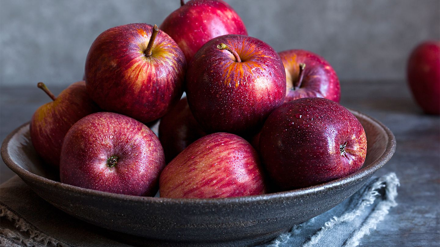 Apple Seeds (Malus domestica)