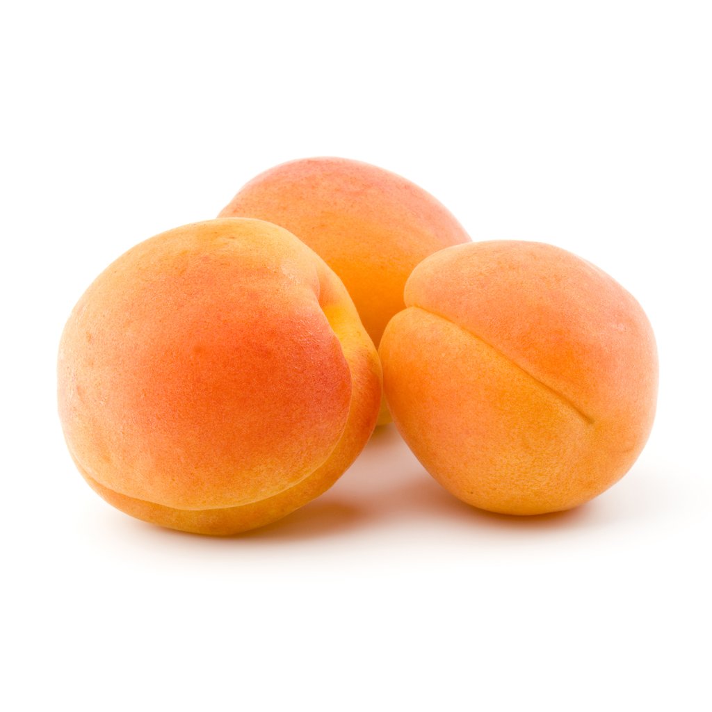 Apricot Seeds (Prunus armeniaca)