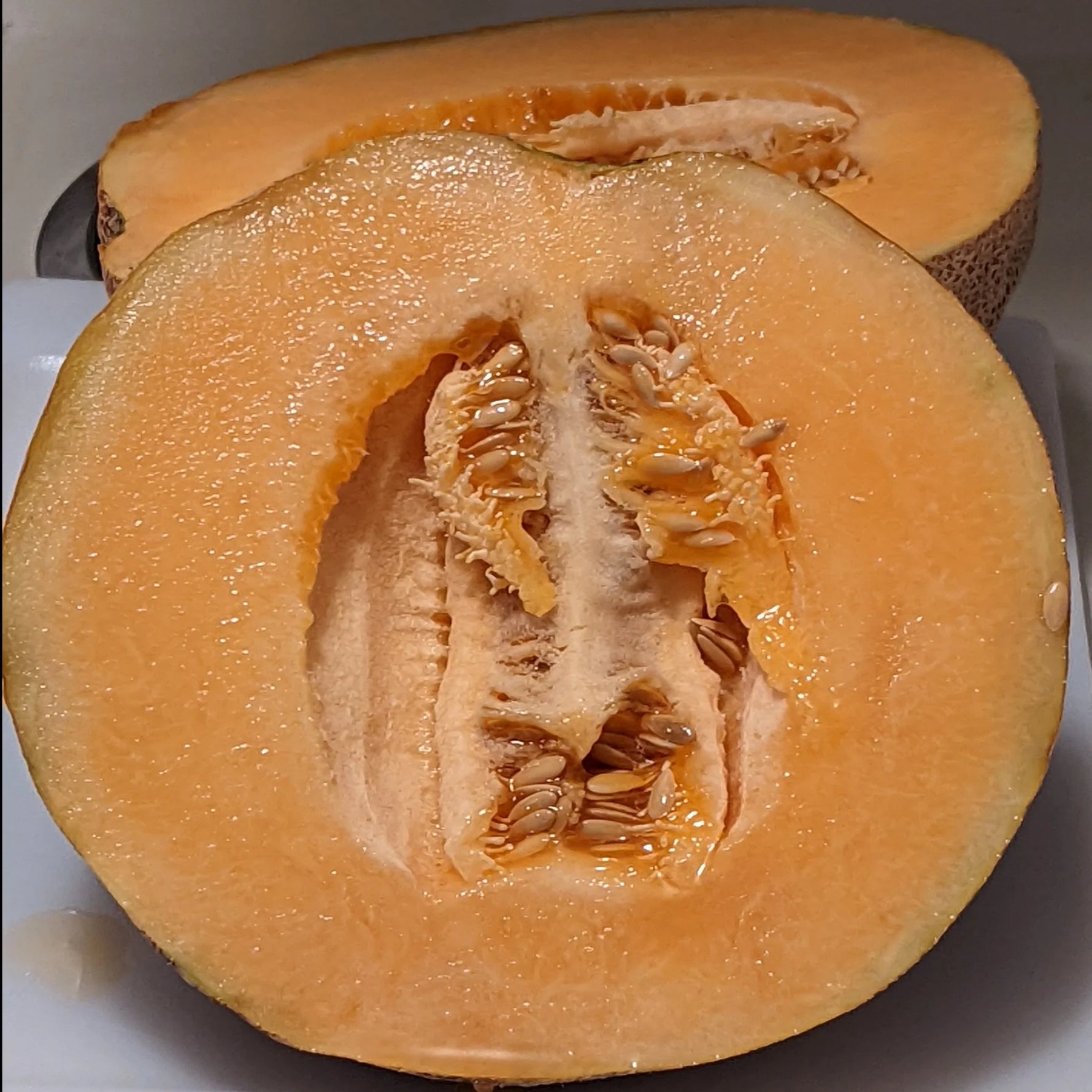 Aromatic cantaloupe seeds for warm climate gardens