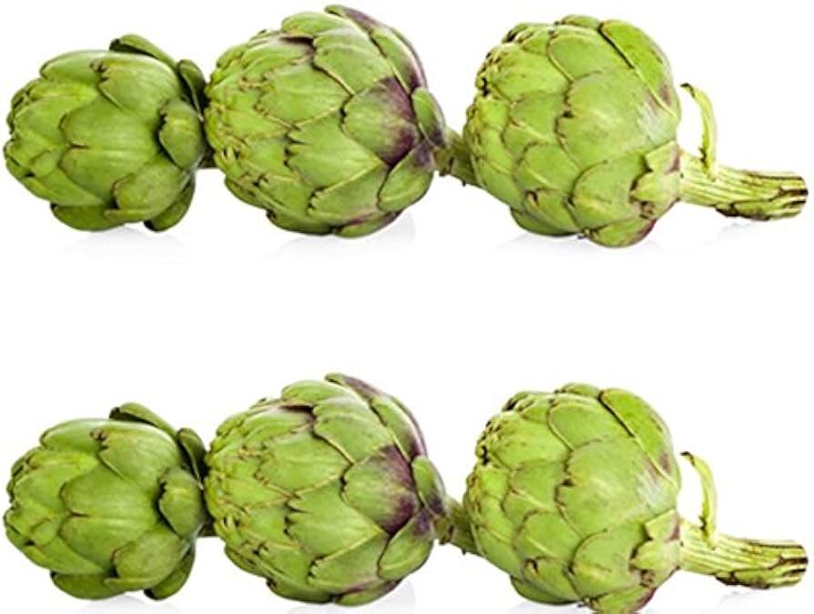 Artichoke Green Globe seeds for planting perennial vegetable garden crops - Dharaseeds