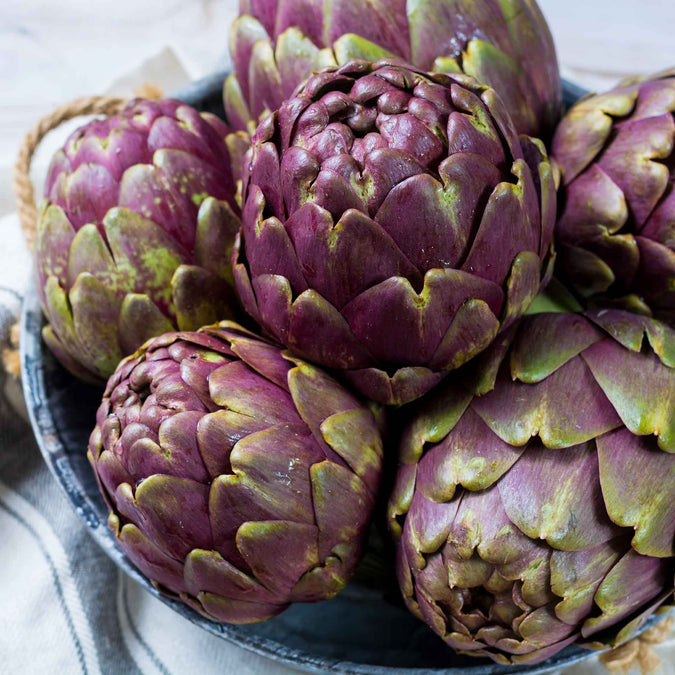 Artichoke Seeds - Purple Italian Globe