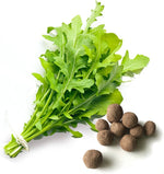 Arugula Seed Disks – Quick - Grow Peppery Greens for Kitchen Gardens - Dharaseeds