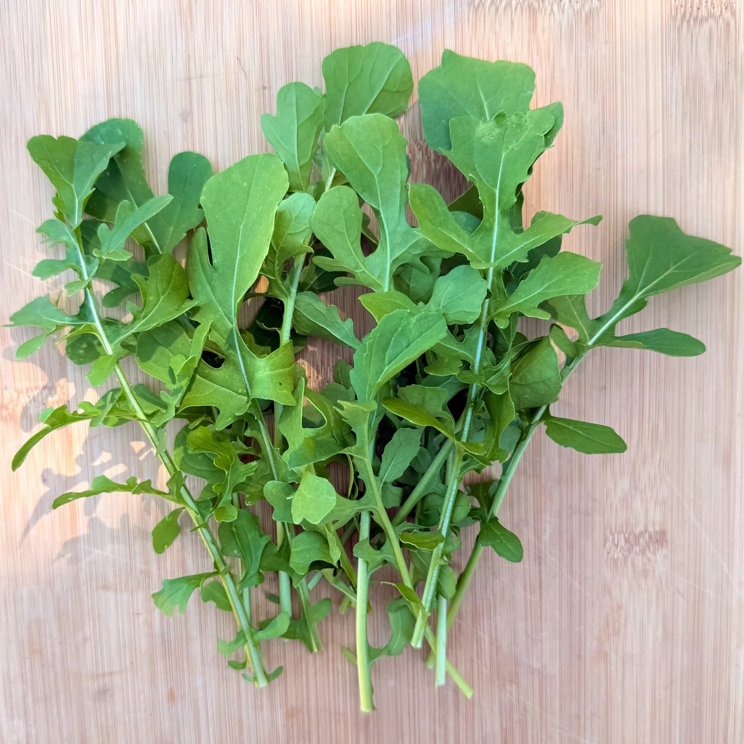 Arugula Seeds Heirloom Non-GMO High Germination Organic Garden Seeds