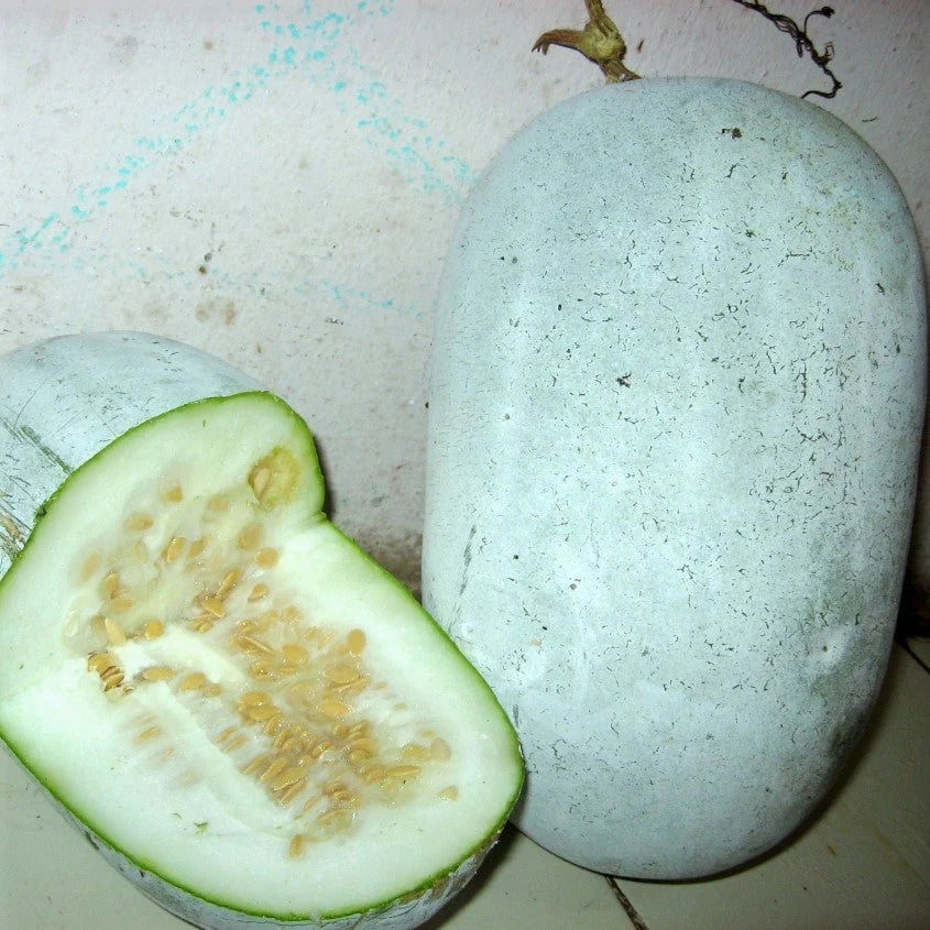 Ash Gourd-Yash