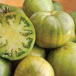 Aunt Ruby's German Green Tomato Seeds – Heirloom Beefsteak with Tangy - Sweet Flavor - Dharaseeds