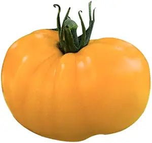 Azoychka Yellow Tomato Solanum lycopersicum vegetable seeds for planting in home kitchen gardens - Dharaseeds