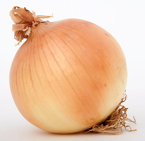 Onion Allium Cepa Texas Grano 1015Y Vegetable Seeds for Planting – Sweet Variety for Home Garden and Culinary Use