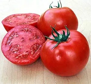 Ball Beefsteak Hybrid Tomato Solanum lycopersicum vegetable seeds for midseason planting in backyard garden - Dharaseeds