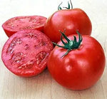 Ball Beefsteak Hybrid Tomato Solanum lycopersicum vegetable seeds for midseason planting in backyard garden - Dharaseeds