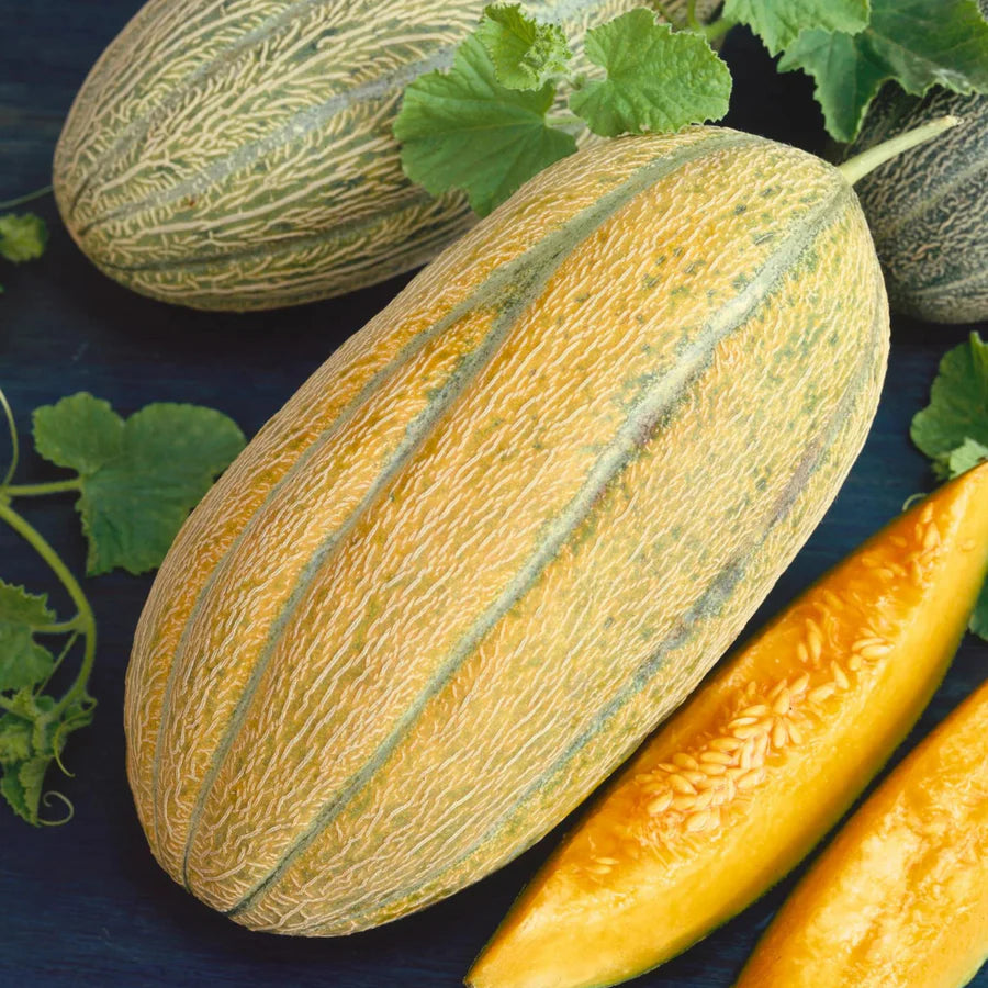 Banana melon cantaloupe seeds for planting home garden