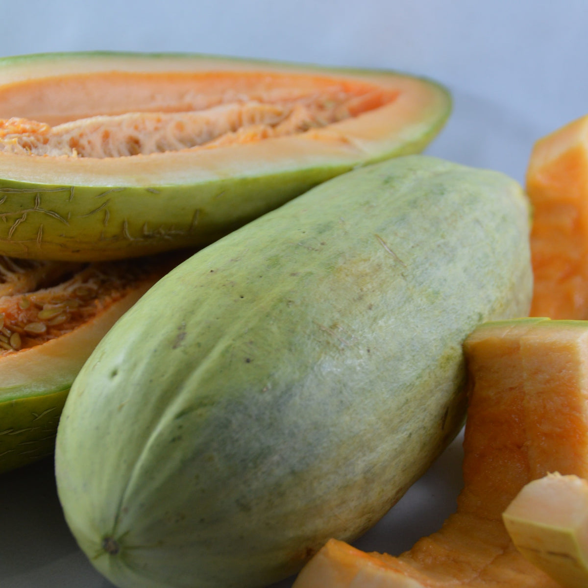 Banana melon vine flowering stage with green leaves