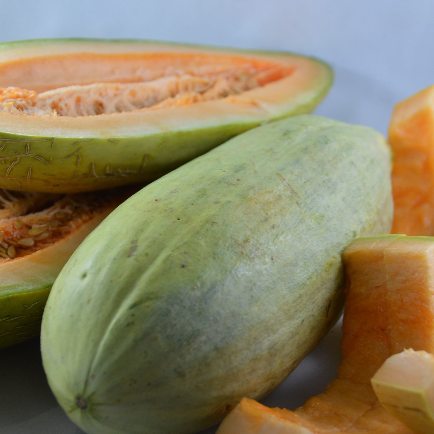 Banana melon vine flowering stage with green leaves