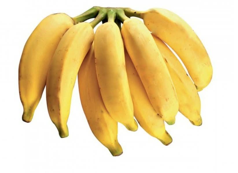 Pacovan banana fruit seeds for planting