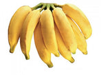 Pacovan banana fruit seeds for planting
