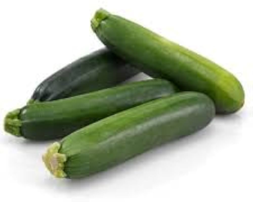 Barq F1 Squash seeds – fast - growing hybrid for garden and school use - Dharaseeds