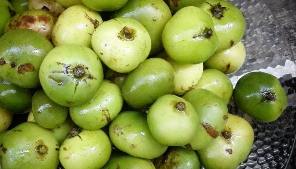 Batuan Fruit Seeds (Garcinia benthamii)