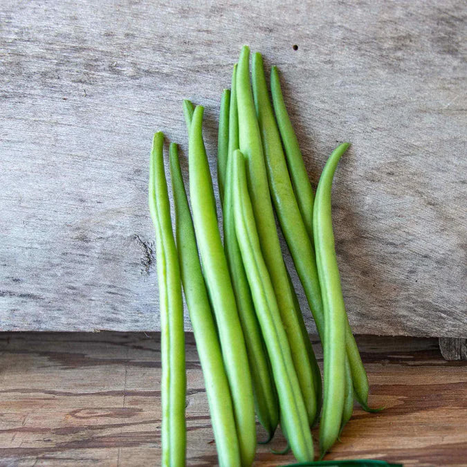 Bean Seeds (Bush) - Elegance