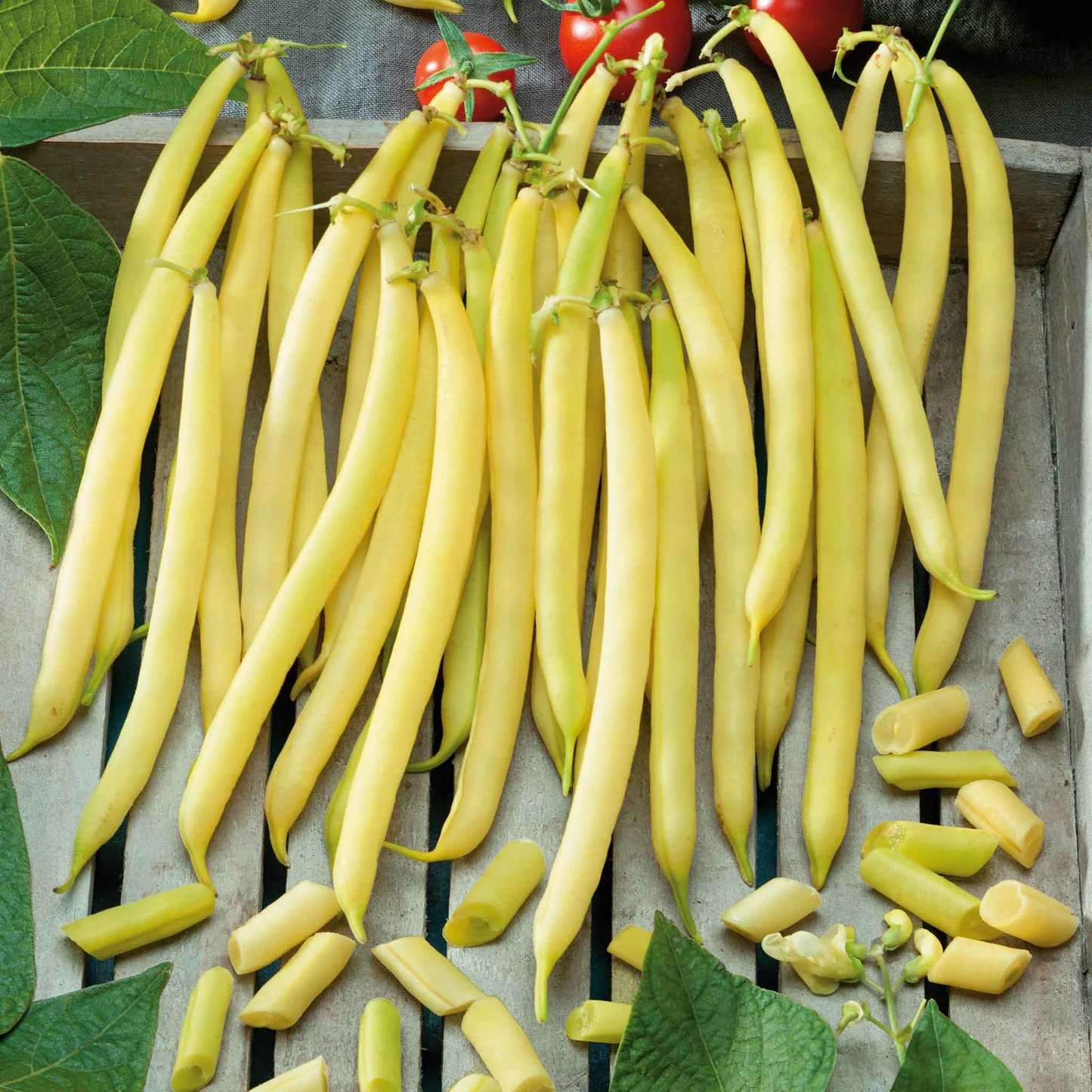 Organic Gold Rush Bean Seeds for Planting heirloom & Non-GMO Seeds