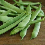 Bean Seeds for Gardening, 100 Pcs pcs - Dharaseeds