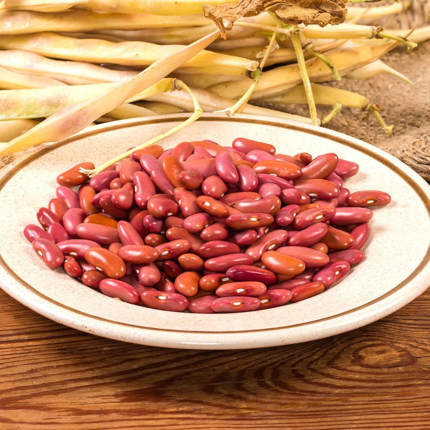 Bean Seeds (Organic) - Light Red Kidney