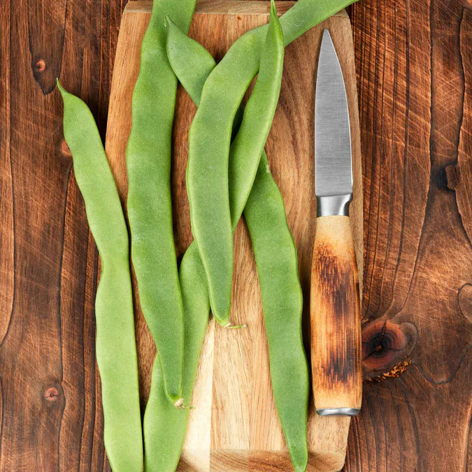 Bean Seeds (Bush) - Romano